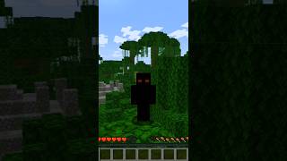 Best Minecraft Zoom Mod 🔥
