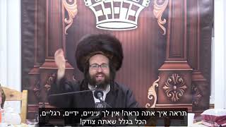 תהיה חכם! | הרב יואל ראטה שליט"א