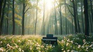 Serenity Now  Music for Healing Energy