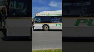Sneak | DRT Pulse 2013 New Flyer XD40 #8609, #8607 | DRT 2021 Novabus LFS #6119