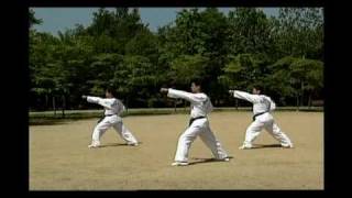 Taekwondo (60).avi