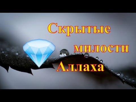 СКРЫТЫЕ МИЛОСТИ АЛЛАХА - Нуман Али Хан - Изумленный Кораном