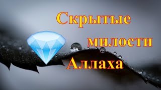 Видео СКРЫТЫЕ МИЛОСТИ АЛЛАХА - Нуман Али Хан - Изумленный Кораном (автор: Dawah Project)
