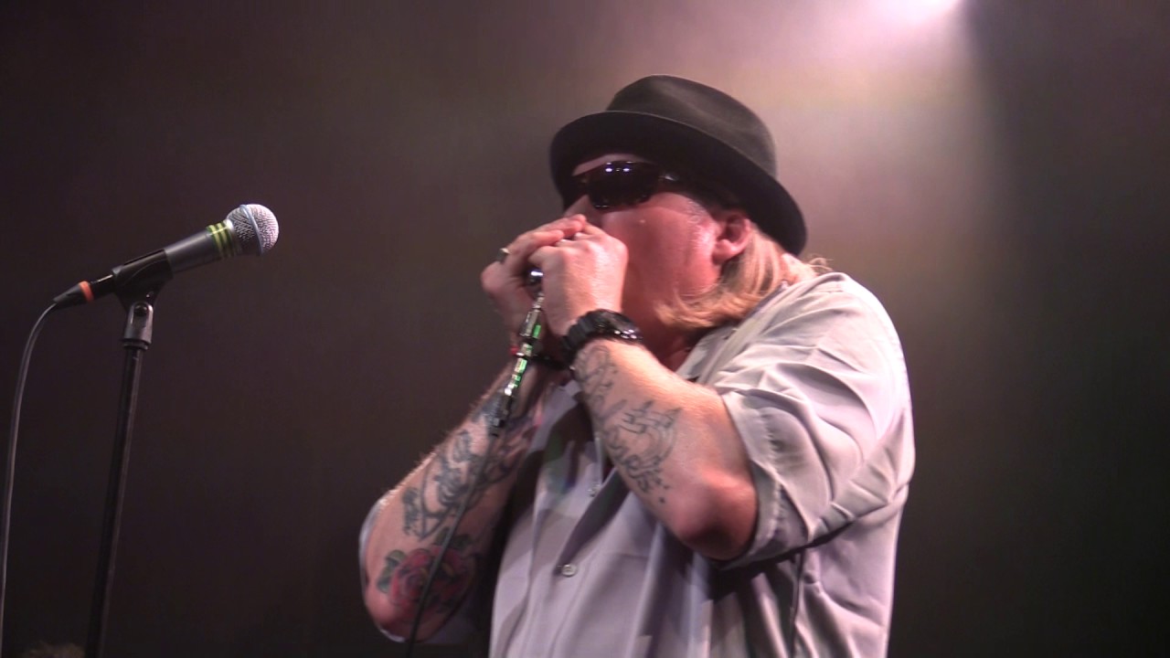 THE RED DEVILS Wish You Would @ DE BOSUIL, WEERT - 03/06/17