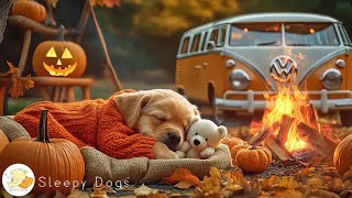24 HOURS Healing Music for Dogs🐶Separation Anxiety Relaxing Music🎃Autumn Night Dreams🌙No Ads