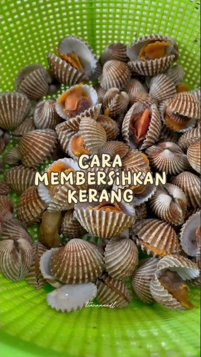 Cara Membersihkan Kerang #tipsmemasak #kerangdara #seafood #belajarmasak #tipsmasak