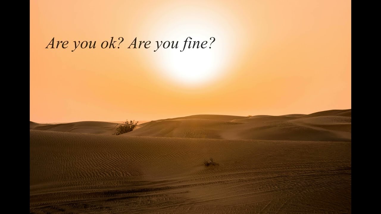 foDan x ARIANNE || Never Have I Ever || (Emotional Romantic Love Song 2026)