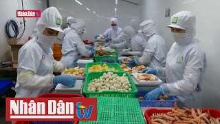 TP Hồ Chí Minh nỗ lực bảo đảm cung ứng hàng Tết 2023