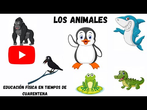 Educación Física con