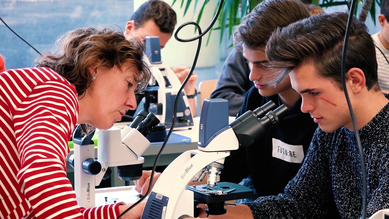 Anton Fugger Realschule Babenhausen Europa-Urkunde 2017: Anton Fugger Realschule Babenhausen - Bayern - YouTube