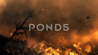 Forest Fire Loop (test)