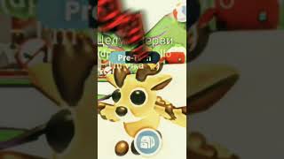 Sorry Im Ne Ponima Ungefähr