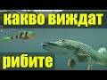 КАКВО ВИЖДАТ РИБИТЕ. Подводни кадри на воблери и силикони за  риболов на щука, сом и бяла риба