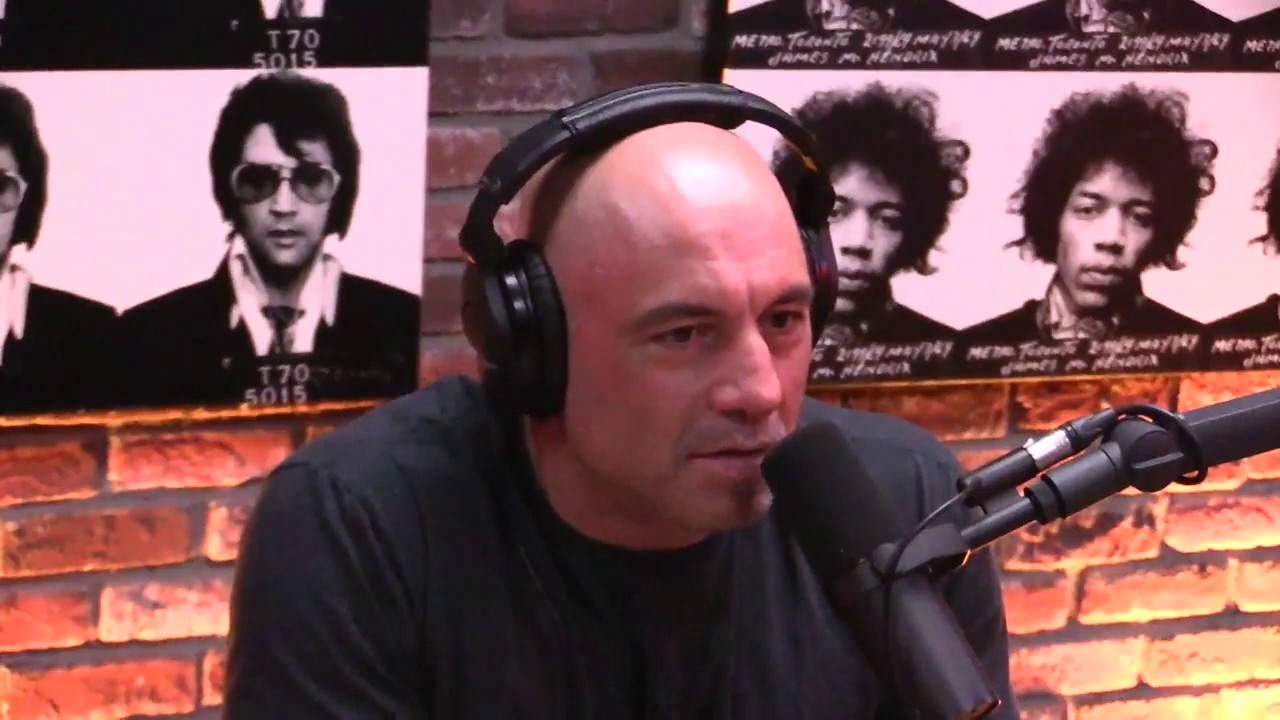 Joe Rogan talks to Dan Harris about having a panic attack on Good ...