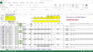 23. 中文Chinese 2020 entry