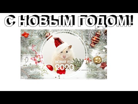 С НОВЫМ ГОДОМ 2020 ВСЕХ ПОЗДРАВЛЯЮ!