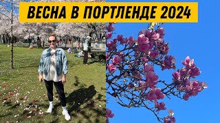 🇺🇸 Весна в Портленде, Орегон