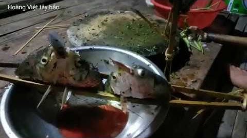 Đặc Sản Tây Bắc Món Cá Nướng Gập (Pa Pỉnh Tộp) Của Dân Tộc Thái/Hoàng Việt Tây Bắc
