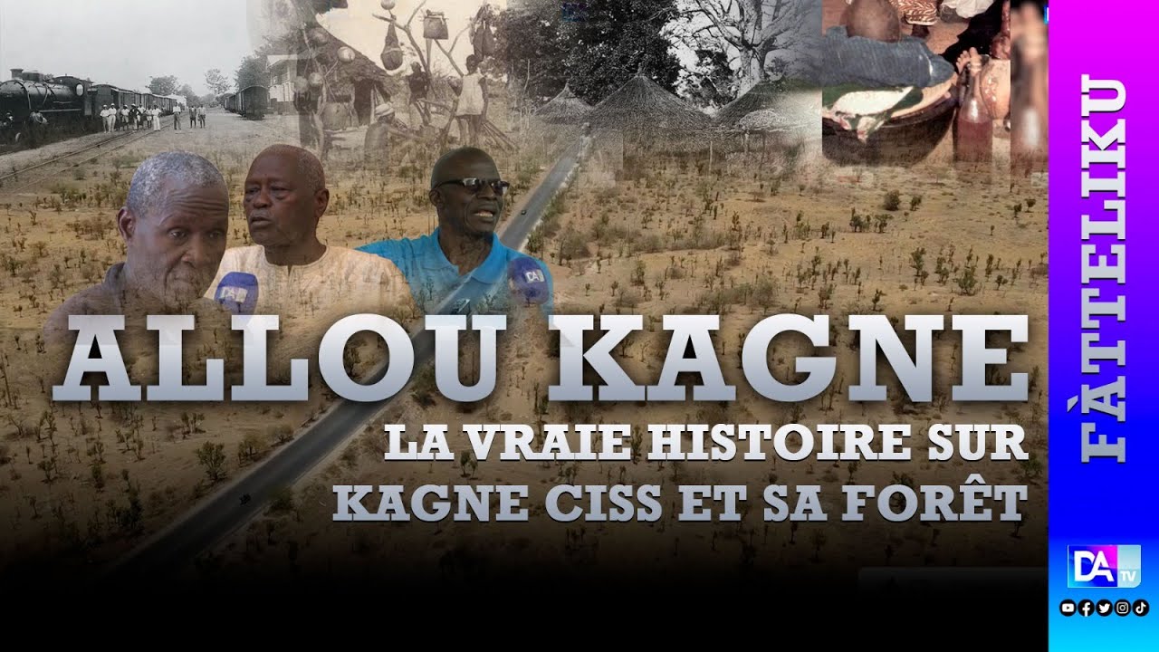 Fàtelliku : à la découverte de la vraie histoire sur Kagne Ciss et sa forêt Allou Kagne