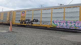 NS Autorack Train 