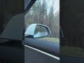 Wolf jagt Radler – da hat herannahender Autofahrer einen Geistesblitz