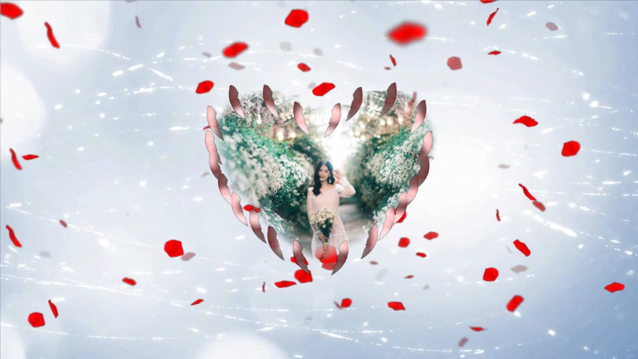 ProShow Slideshow 285