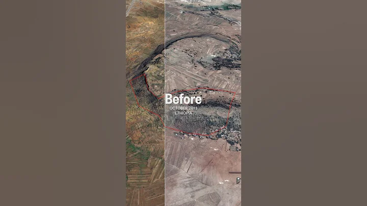 30,000 trees later… 🌳😍