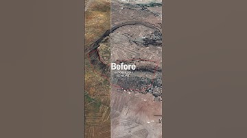 30,000 trees later… 🌳😍