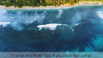 قارئ جديد من هدايا الرحمن | `تلاوة ندية _ سورة (الحجرات) _ [القارئ عمر ضياء الدين