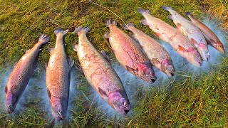 Professional trout fishing in Scandinavia! Very beautiful nature!