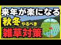 【知らなきゃ損】雑草の「タネ貯金」を枯らす!来年の田んぼが楽になる秋冬のひと手間
