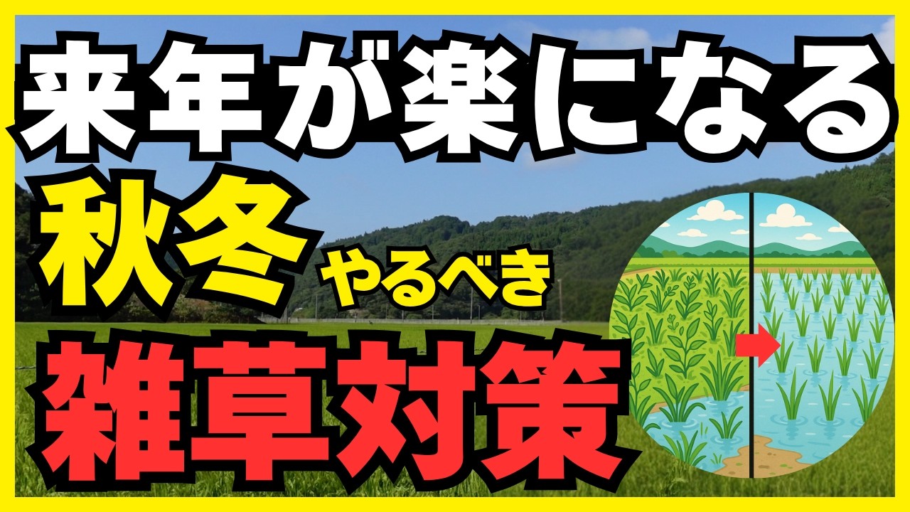 【知らなきゃ損】雑草の「タネ貯金」を枯らす！来年の田んぼが楽になる秋冬のひと手間
