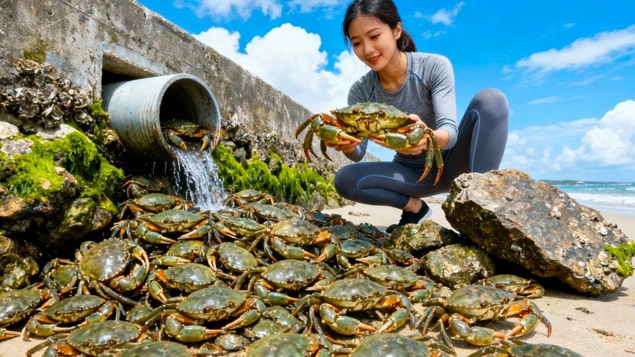 小章赶海运气惊人，礁石下藏满大螃蟹捡到手软，竟还发现受伤的龙虾【赶海小章官方频道】