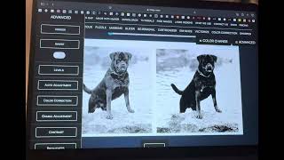 Imag-r editing and processing for slate laser engraving.