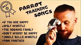 Best Parrot Training,  Whistle Practice for Cockatiels,  Parrot Whistle Training