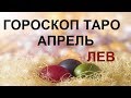 ЛЕВ Таро гороскоп на АПРЕЛЬ 2019