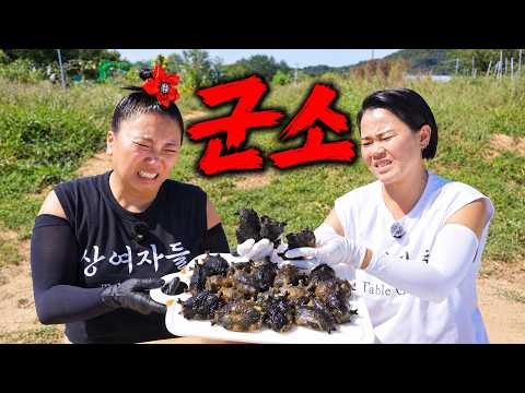 [도전 먹방] 바다 달팽이 군소를 이제야 먹어보네요 ㅜㅜ