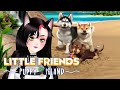 【LITTLE FRIENDS: PUPPY ISLAND】bow wows binted【Babette Bichoux】
