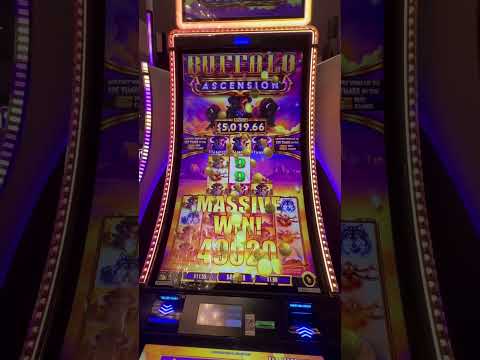 Bashiba Egiptyan Casino Big Bola Mexico SCATTER