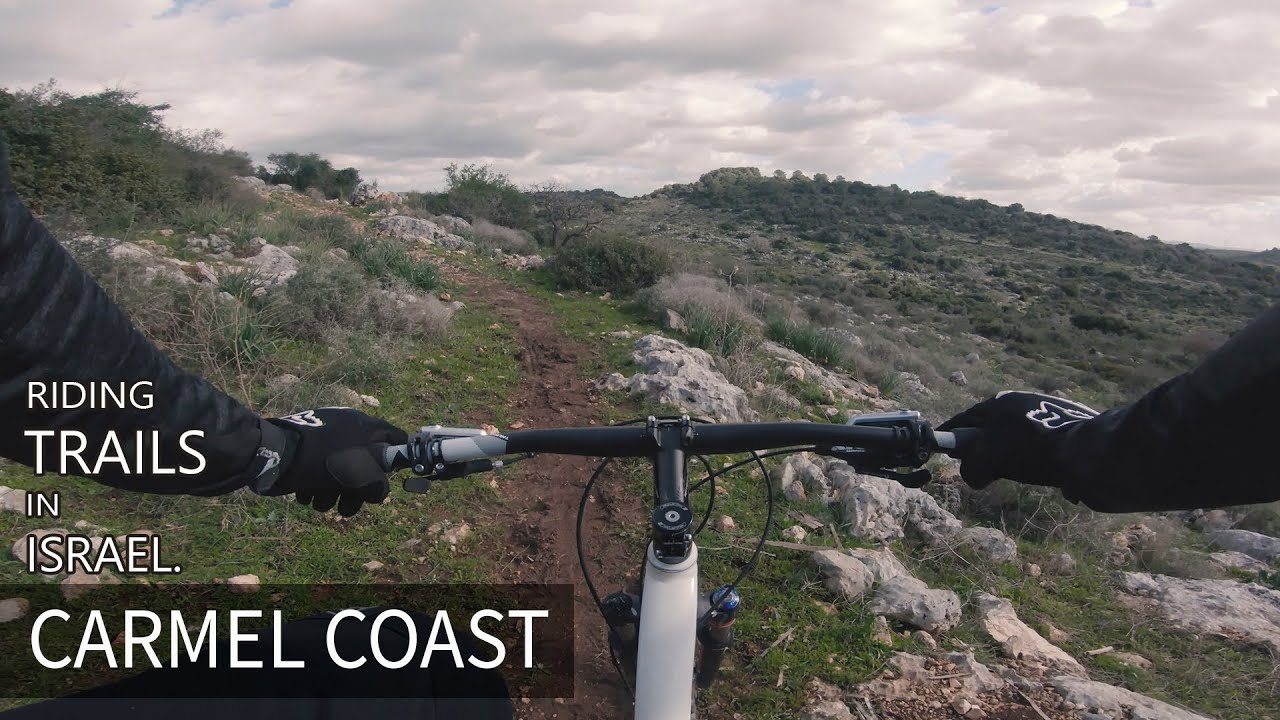 סינגל יער חוף הכרמל