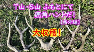 【番外編】鹿角ハンターRYU！『T山ふもと・S山ふもと②』No.110（鹿の生息地で角探し！）