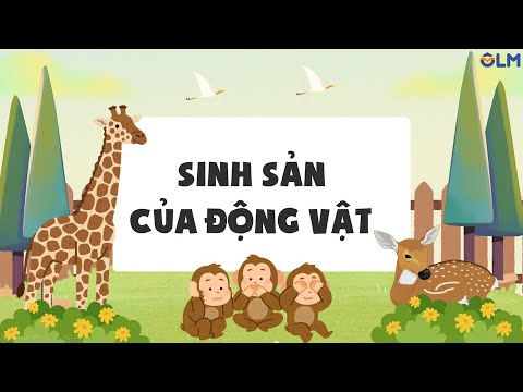 Khoa học 5