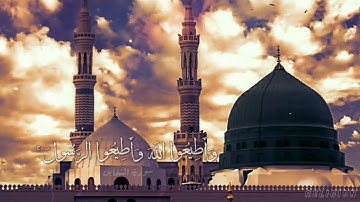 بصوت الشيخ رعد الكردي | وأطيعوا الله وأطيعوا الرسول : سورة التغابن | حالة واتس دينيه
