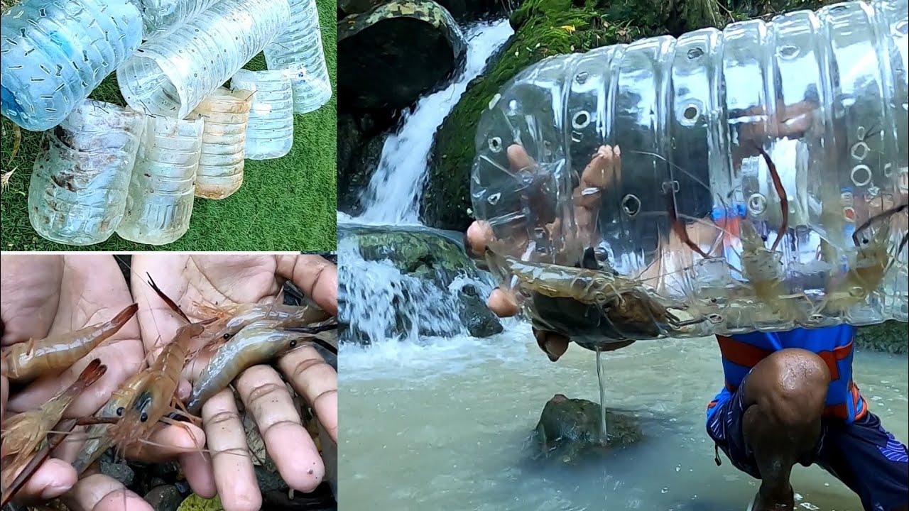 DIY) 🦐🦐 SHRIMP TRAP USING SIX LITERS PLASTIC BOTTLES 100% TESTED