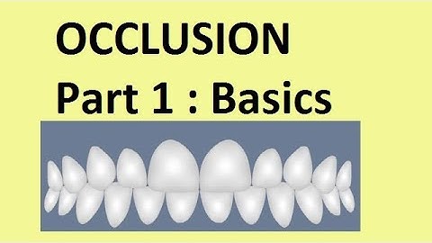 Occlusion : Part 1Basic concepts