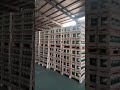😄New Finished Glass Insulator Are Ready to Ship-Nooa Electric #electric #insulators#factory
