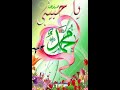 حبيبى يا محمد يانعم الرسول بذكرك يا نبينا قد نلنا الفبول       