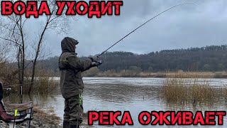 Рыбалка на ОКЕ после ПОЛОВОДЬЯ Река оживает ВОДА УХОДИТ 