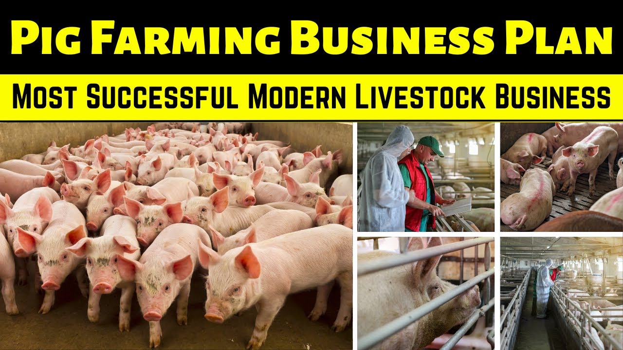 business plan on piggery farming pdf