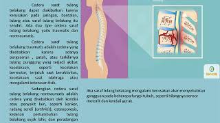 Sumsum tulang belakang -